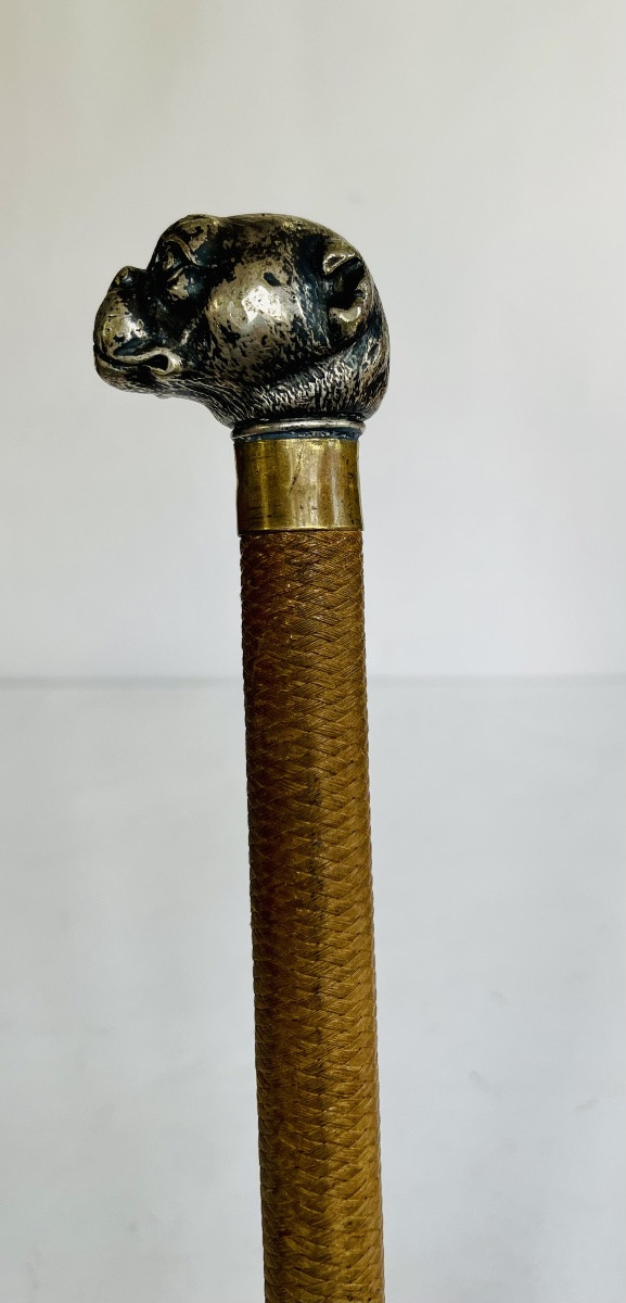 Puzzle Cane -photo-4